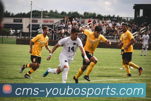 友博体育服务体系